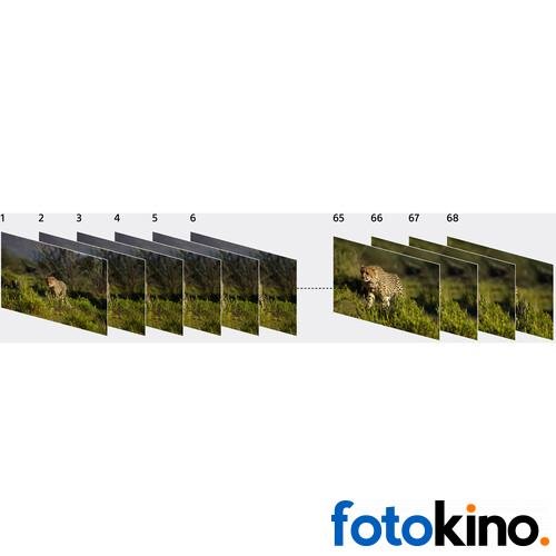 Sony a7RIVA (Solo Cuerpo) Cámara mirrorless - Image 26