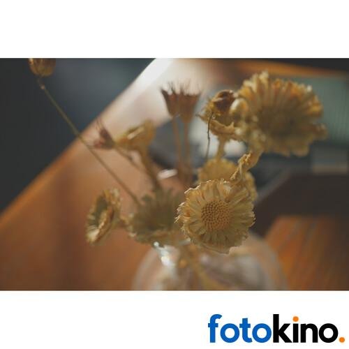 Sony a7C II Camara Mirrorless (Plateada) Solo Cuerpo - Image 20