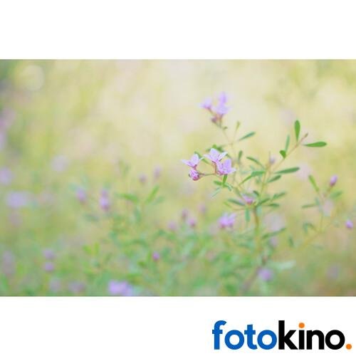 Sony a6700 Cámara Mirrorless (solo cuerpo) - Image 28