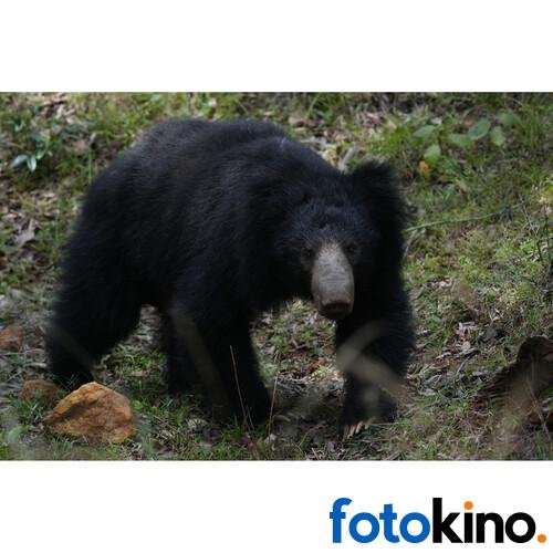 Sony a6700 Cámara Mirrorless (solo cuerpo) - Image 36